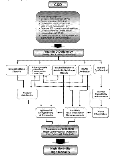 from PDF in Kidney Gallery