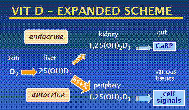 April PDF or Video at 2010 http://www.ucsd.tv/search-details.aspx?showID=18718