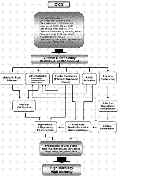from Vitamin D and Chronic Kidney Disease - June 2010  in Kidney gallery