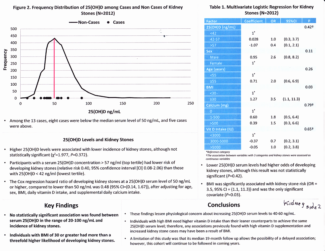 Kidney Stones2