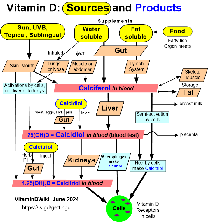 http://vitamindwiki.com/tiki-index.php?page_id=5644