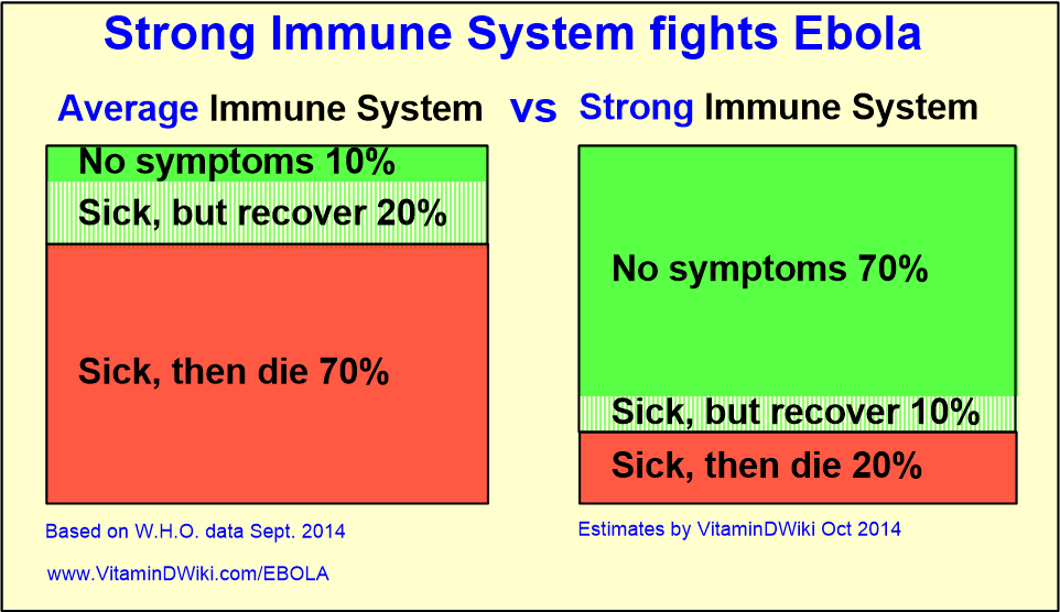 Strong Immune System fights Ebola